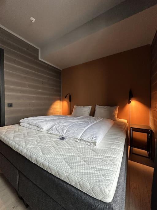 Riddergaardens Panorama Apartman Beitostolen Kültér fotó